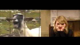 黄老板爆料唱歌视频大全,唱歌视频大全幕后花絮大公开 第3张 黄老板爆料唱歌视频大全,唱歌视频大全幕后花絮大公开 第3张